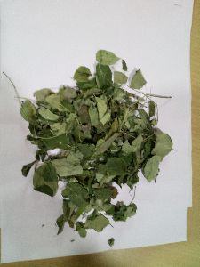 Moringa Dried Leaves