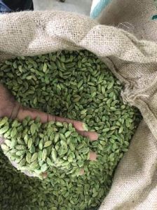 Green Cardamom