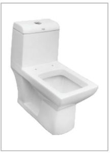 One Piece Water Closet