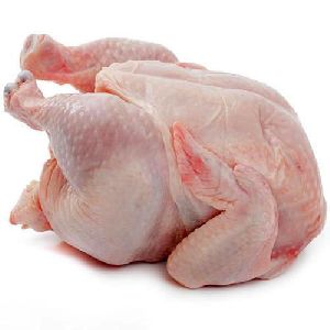 Fresh Whole Chicken Meat