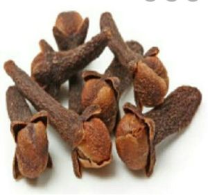 cloves seeds