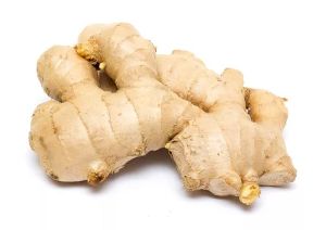 Fresh Ginger