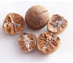Betel Nuts