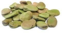 Fava Beans