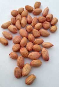 Peanut Kernels