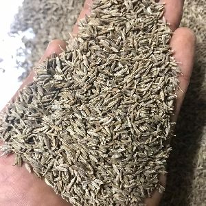 Cumin Seeds