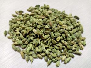 Green Cardamom