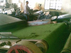 Tea Plant Machinery