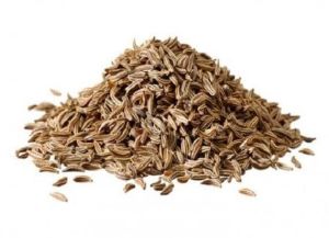 Cumin Seeds