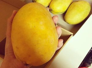 Fresh Mango