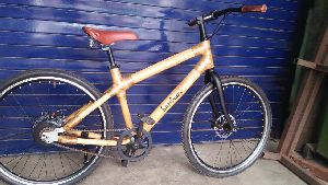 Bamboo Bicycles