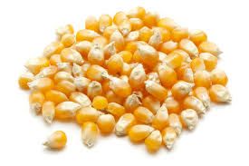 Maize Grain