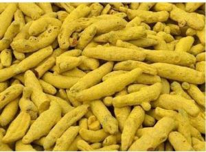 dried turmeric finger