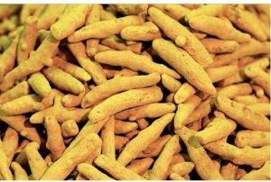 Organic Turmeric Finger