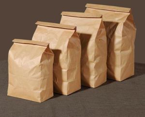 Paper Food Bags