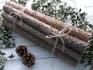 Pine Logs 15 inches for Craft purpose