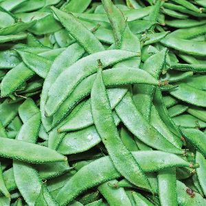 Fresh Broad Beans