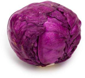 Fresh Red Cabbage