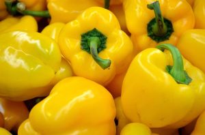 Fresh Yellow Capsicum