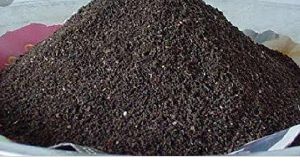 Vermicompost
