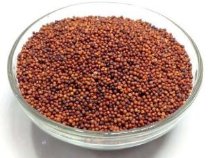 Finger Millet Seeds