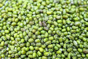 Mung Bean