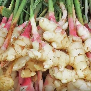 Fresh Organic Ginger