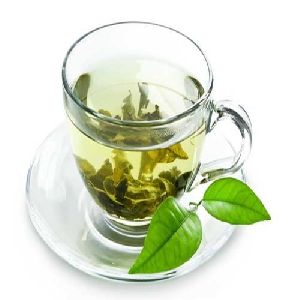 Nettle Green Tea