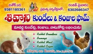 Shivaani Rabbit &amp; Quail Farm