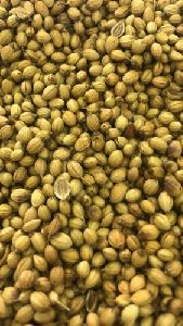 Coriander Seeds