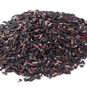 Black Rice