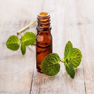 Cornmint Oil