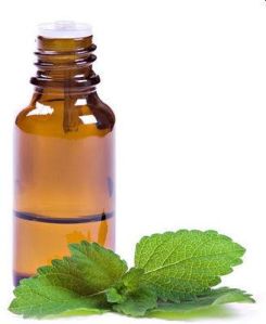 Mentha Oil