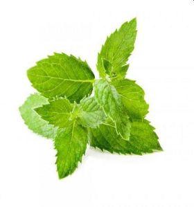 Spearmint Oil