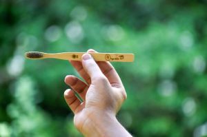 Bamboo Toothbrush