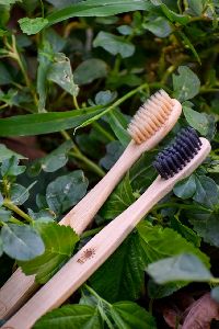 organic toothbrush