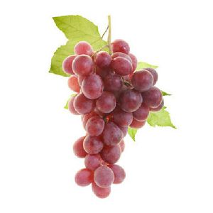 Fresh Red Grapes