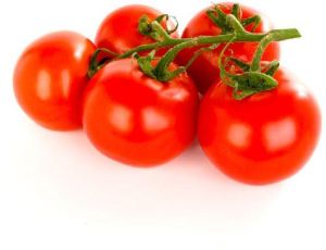 Fresh Red Tomato