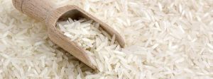 Non Basmati Rice