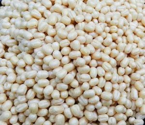 White Urad Dal