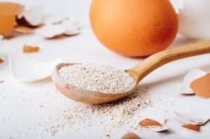 Dried Egg Shell Powder