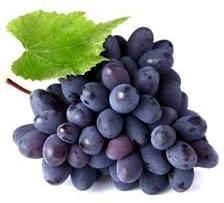 Fresh Black Grapes