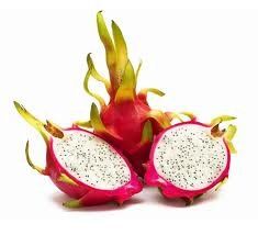 Fresh Dragon Fruit