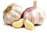 Fresh Garlic