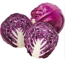 Fresh Red Cabbage