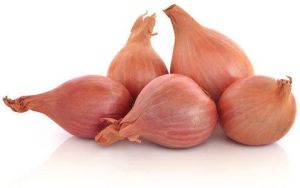 Fresh Shallot Onion