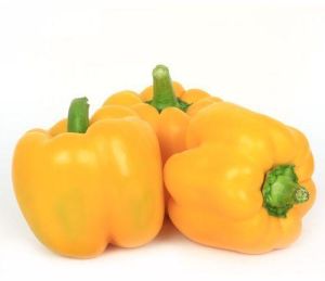 Fresh Yellow Capsicum