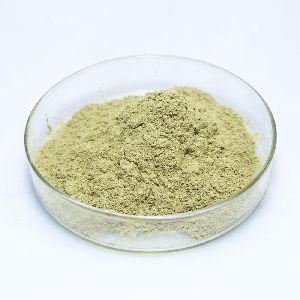 Aloe Vera extracts powder