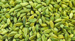 Green Cardamom