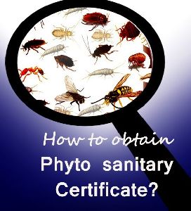 Phytosanitary Certification Service